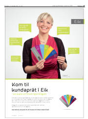 Síða 43