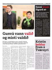 Síða 17