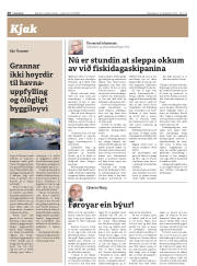 Síða 20