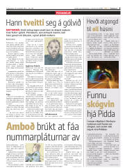 Síða 9