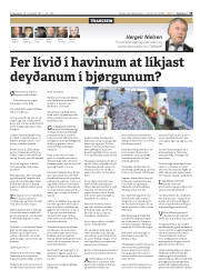 Síða 19