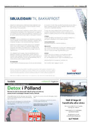 Síða 31