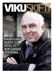 Síða 41