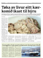 Síða 12