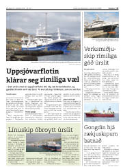 Síða 13