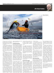 Síða 17