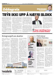 Síða 2