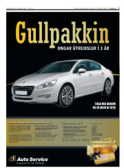 Síða 7