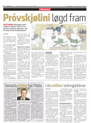 Síða 8