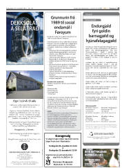 Síða 29