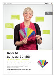 Síða 43