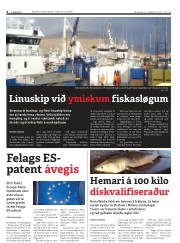 Síða 6