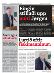 Síða 8
