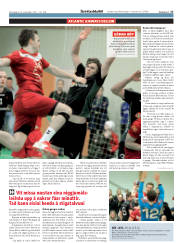 Síða 17