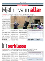 Síða 19