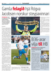 Síða 20