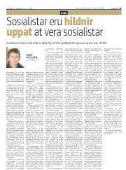 Síða 25