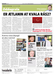 Síða 2