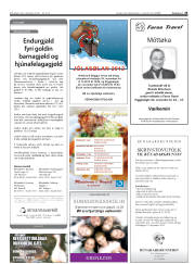 Síða 25