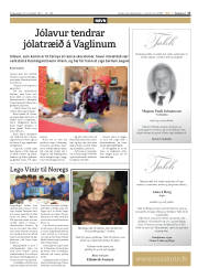 Síða 17