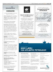 Síða 31