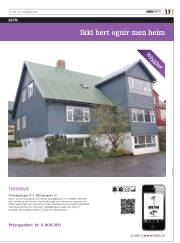 Síða 53