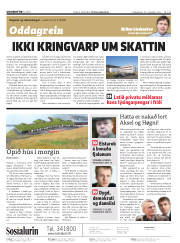 Síða 2