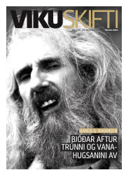 Síða 41