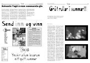 Síða 8