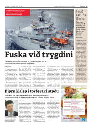 Síða 15
