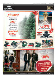 Síða 17