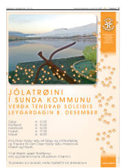 Síða 3