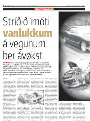 Síða 6