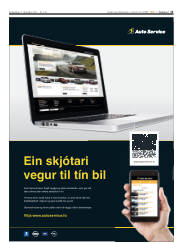Síða 13