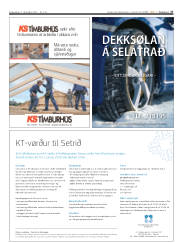 Síða 27