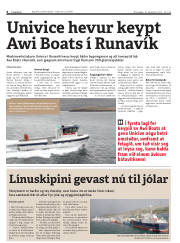 Síða 6
