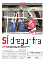 Síða 17