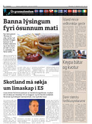 Síða 8