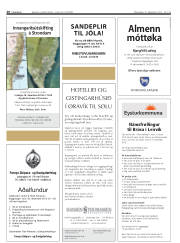 Síða 20