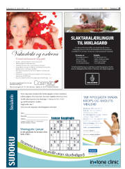 Síða 25