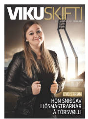Síða 33