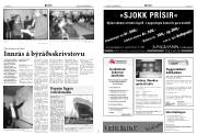 Síða 5