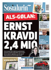 Síða 1