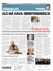 Síða 2
