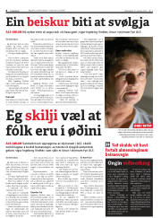 Síða 6