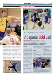 Síða 17