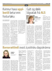 Síða 27