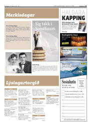 Síða 31
