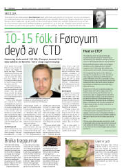 Síða 8