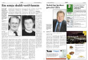 Síða 11